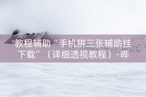 教程辅助“手机拼三张辅助挂下载”（详细透视教程）-哔哩哔哩
