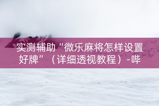 实测辅助“微乐麻将怎样设置好牌”（详细透视教程）-哔哩哔哩
