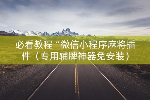 必看教程“微信小程序麻将插件（专用辅牌神器免安装）