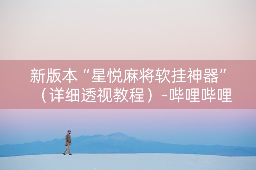 新版本“星悦麻将软挂神器”（详细透视教程）-哔哩哔哩