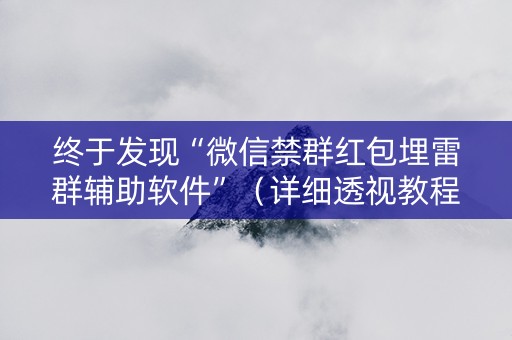 终于发现“微信禁群红包埋雷群辅助软件”（详细透视教程）-哔哩哔哩