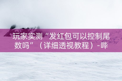 玩家实测“发红包可以控制尾数吗”（详细透视教程）-哔哩哔哩