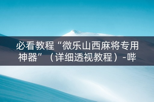 必看教程“微乐山西麻将专用神器”（详细透视教程）-哔哩哔哩
