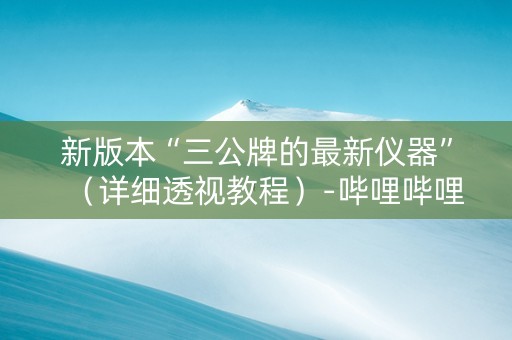 新版本“三公牌的最新仪器”（详细透视教程）-哔哩哔哩