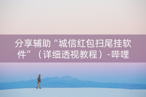 分享辅助“城信红包扫尾挂软件”（详细透视教程）-哔哩哔哩