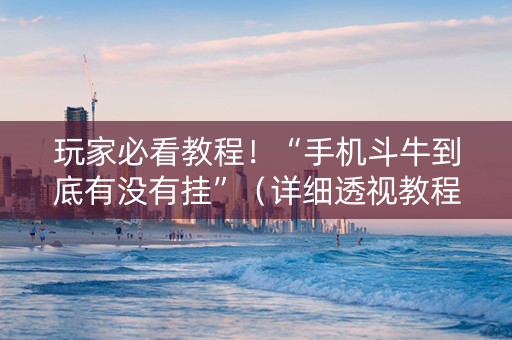 玩家必看教程！“手机斗牛到底有没有挂”（详细透视教程）-哔哩哔哩