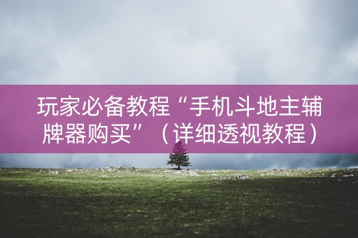 玩家必备教程“手机斗地主辅牌器购买”（详细透视教程）-哔哩哔哩