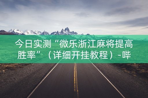 今日实测“微乐浙江麻将提高胜率”（详细开挂教程）-哔哩哔哩
