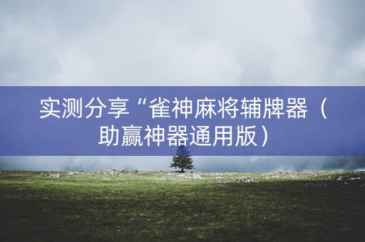实测分享“雀神麻将辅牌器（助赢神器通用版）