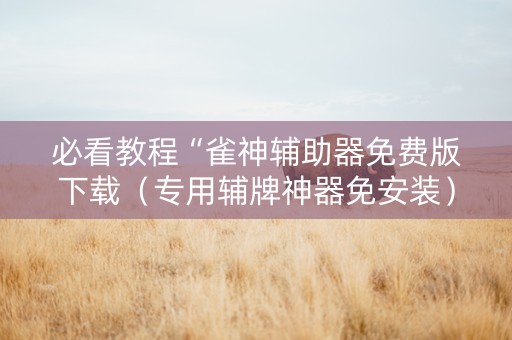 必看教程“雀神辅助器免费版下载（专用辅牌神器免安装）