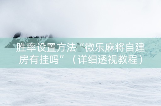 胜率设置方法“微乐麻将自建房有挂吗”（详细透视教程）-哔哩哔哩