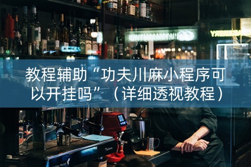 教程辅助“功夫川麻小程序可以开挂吗”（详细透视教程）-哔哩哔哩