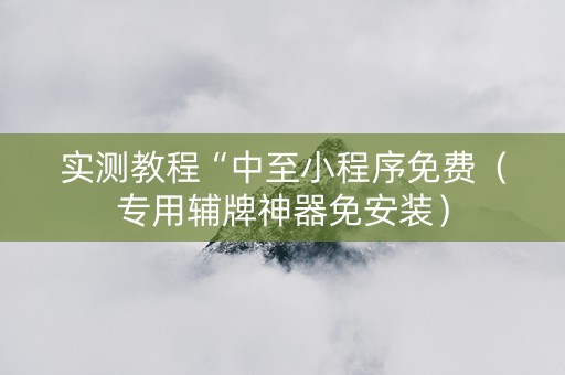 实测教程“中至小程序免费（专用辅牌神器免安装）