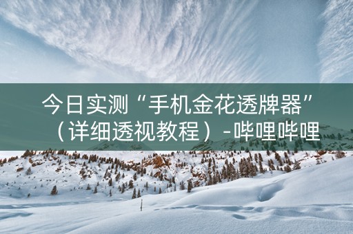 今日实测“手机金花透牌器”（详细透视教程）-哔哩哔哩