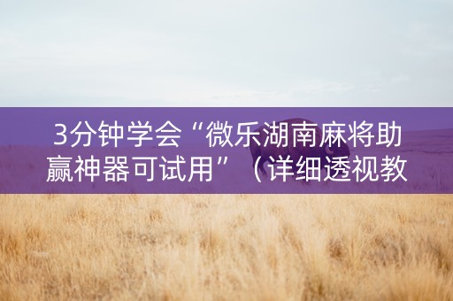 3分钟学会“微乐湖南麻将助赢神器可试用”（详细透视教程）-哔哩哔哩