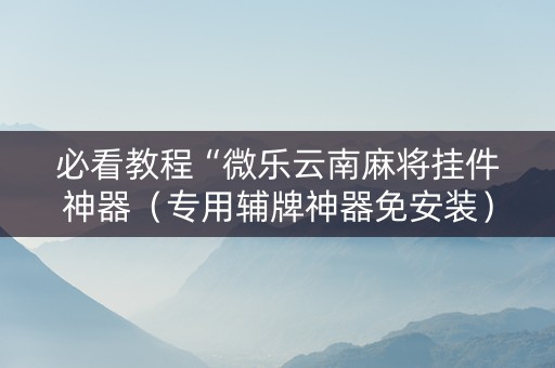 必看教程“微乐云南麻将挂件神器（专用辅牌神器免安装）