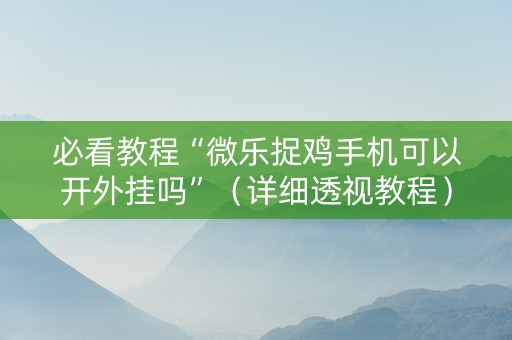 必看教程“微乐捉鸡手机可以开外挂吗”（详细透视教程）-哔哩哔哩