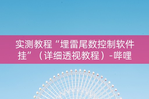实测教程“埋雷尾数控制软件挂”（详细透视教程）-哔哩哔哩