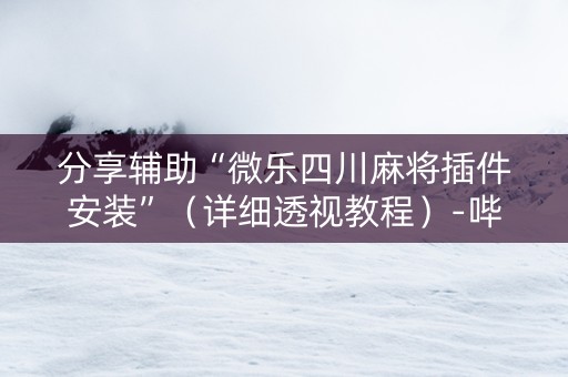 分享辅助“微乐四川麻将插件安装”（详细透视教程）-哔哩哔哩