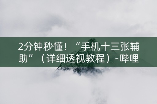 2分钟秒懂！“手机十三张辅助”（详细透视教程）-哔哩哔哩