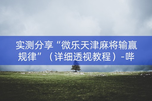 实测分享“微乐天津麻将输赢规律”（详细透视教程）-哔哩哔哩