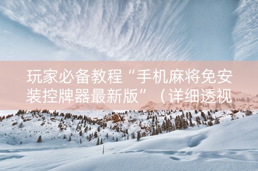 玩家必备教程“手机麻将免安装控牌器最新版”（详细透视教程）-哔哩哔哩
