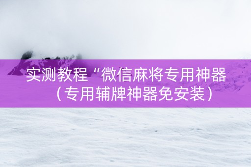 实测教程“微信麻将专用神器（专用辅牌神器免安装）