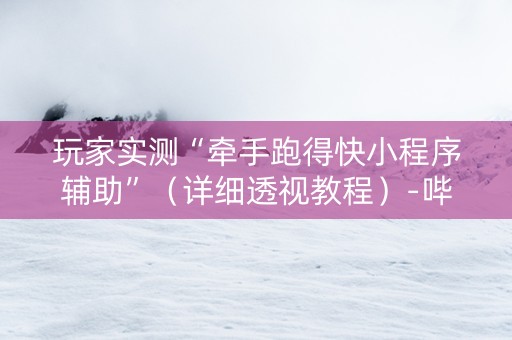 玩家实测“牵手跑得快小程序辅助”（详细透视教程）-哔哩哔哩