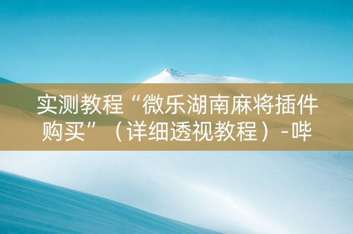 实测教程“微乐湖南麻将插件购买”（详细透视教程）-哔哩哔哩