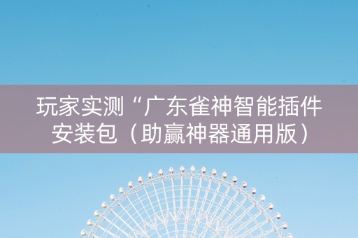 玩家实测“广东雀神智能插件安装包（助赢神器通用版）