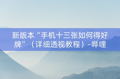 新版本“手机十三张如何得好牌”（详细透视教程）-哔哩哔哩