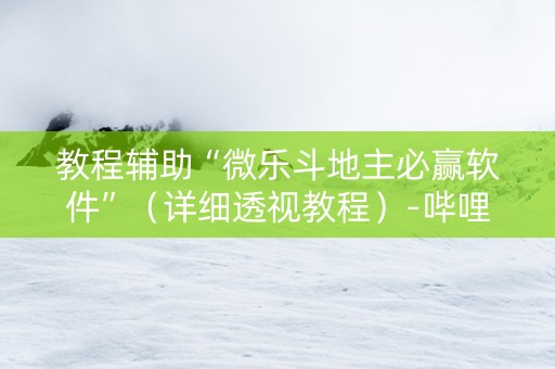 教程辅助“微乐斗地主必赢软件”（详细透视教程）-哔哩哔哩