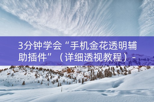3分钟学会“手机金花透明辅助插件”（详细透视教程）-哔哩哔哩
