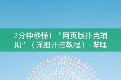 2分钟秒懂！“网页版扑克辅助”（详细开挂教程）-哔哩哔哩