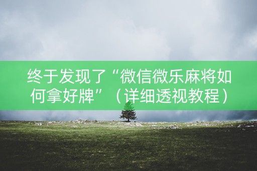 终于发现了“微信微乐麻将如何拿好牌”（详细透视教程）-哔哩哔哩