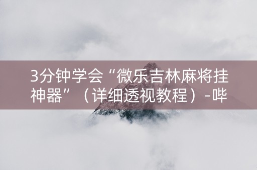 3分钟学会“微乐吉林麻将挂神器”（详细透视教程）-哔哩哔哩
