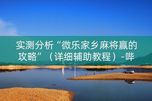 实测分析“微乐家乡麻将赢的攻略”（详细辅助教程）-哔哩哔哩
