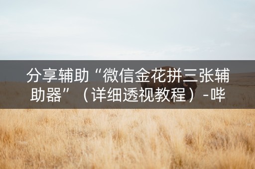 分享辅助“微信金花拼三张辅助器”（详细透视教程）-哔哩哔哩