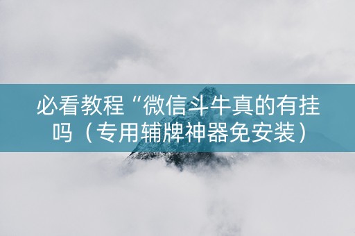 必看教程“微信斗牛真的有挂吗（专用辅牌神器免安装）