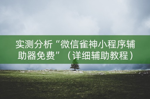 实测分析“微信雀神小程序辅助器免费”（详细辅助教程）-哔哩哔哩