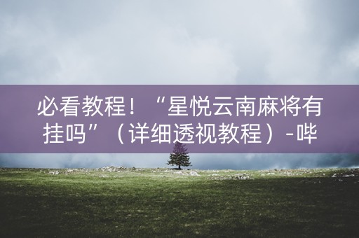必看教程！“星悦云南麻将有挂吗”（详细透视教程）-哔哩哔哩
