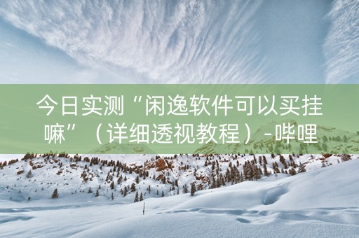 今日实测“闲逸软件可以买挂嘛”（详细透视教程）-哔哩哔哩