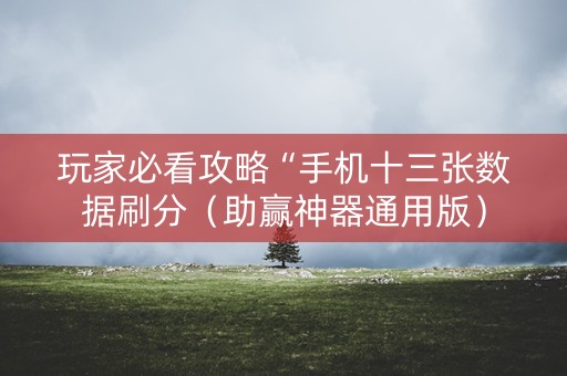 玩家必看攻略“手机十三张数据刷分（助赢神器通用版）