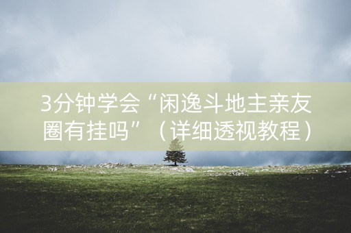 3分钟学会“闲逸斗地主亲友圈有挂吗”（详细透视教程）-哔哩哔哩