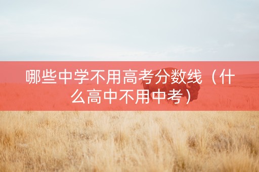 哪些中学不用高考分数线（什么高中不用中考）