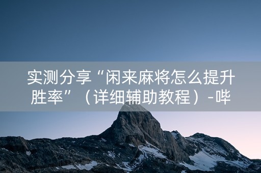 实测分享“闲来麻将怎么提升胜率”（详细辅助教程）-哔哩哔哩