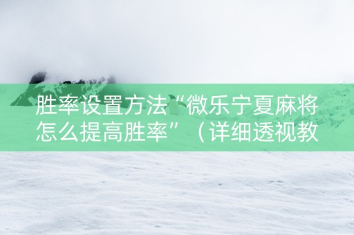 胜率设置方法“微乐宁夏麻将怎么提高胜率”（详细透视教程）-哔哩哔哩