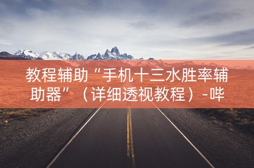教程辅助“手机十三水胜率辅助器”（详细透视教程）-哔哩哔哩