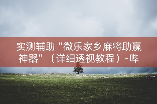 实测辅助“微乐家乡麻将助赢神器”（详细透视教程）-哔哩哔哩