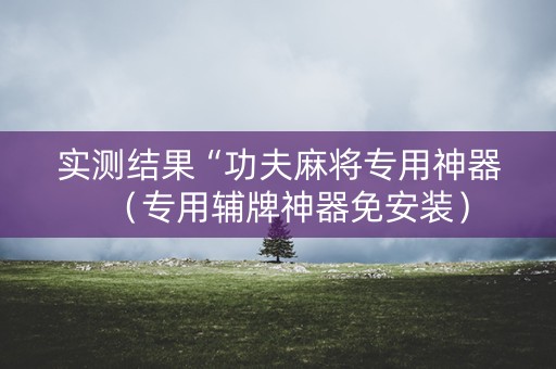 实测结果“功夫麻将专用神器（专用辅牌神器免安装）